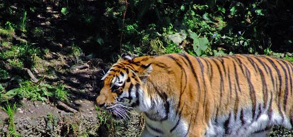 Zoo Muenchen 35