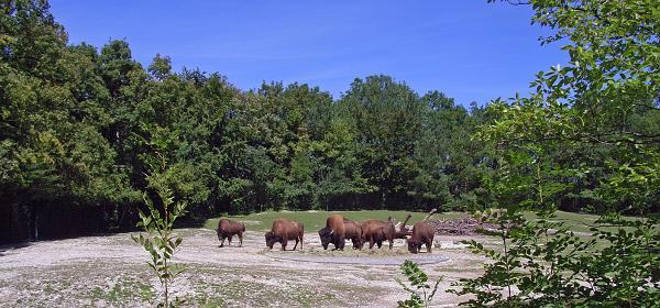 Zoo Muenchen 46