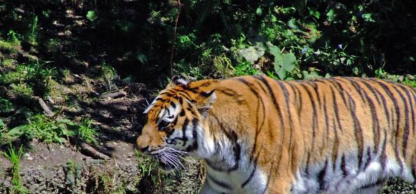 Zoo München