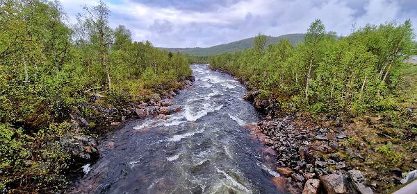Storforsen