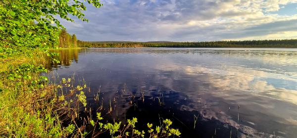 Rahtunen