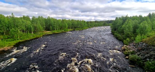 Vuontisjoki