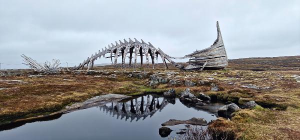 Drakkar Leviathan
