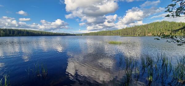 Djupgäsen