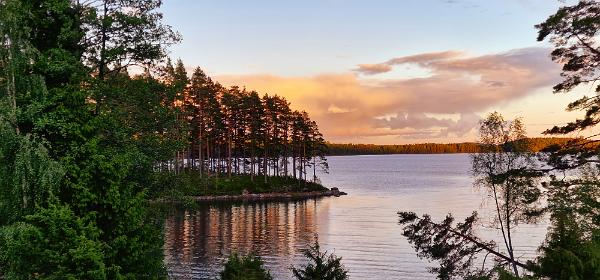 Stora Gla