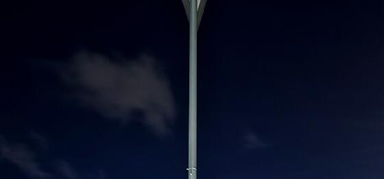 019