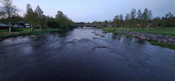 Pohjoishaara