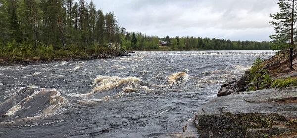 Molkoköngäs