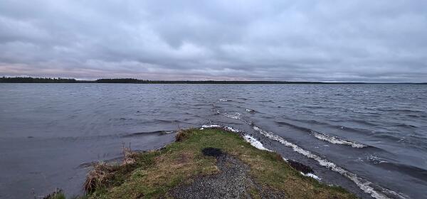 Vajunen Polartag