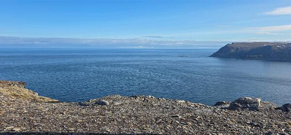 Arctic View Morning