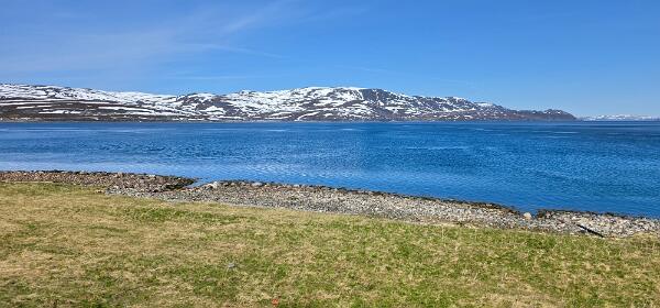 Rv94 to Hammerfest
