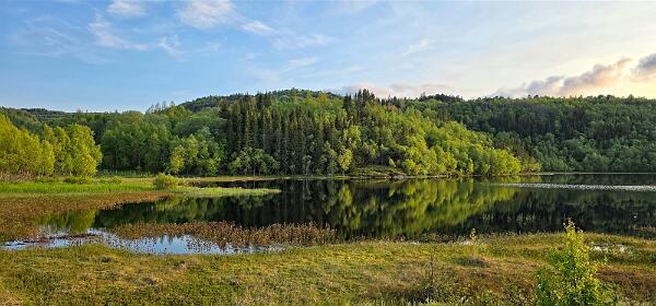 Øyjordskogvatnet