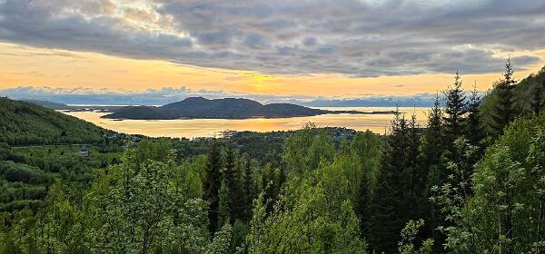 Ulvsvåg