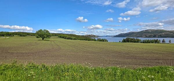 Salsvatnet