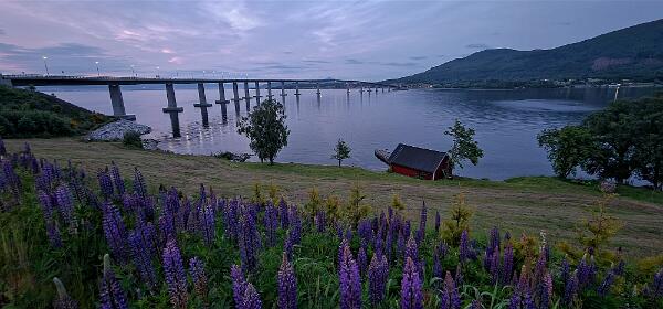 Tresfjord Night