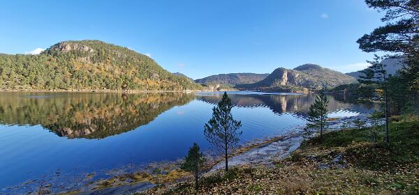 Sagfjorden