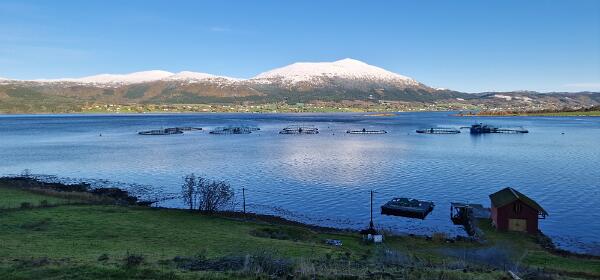 Kvernesfjorden