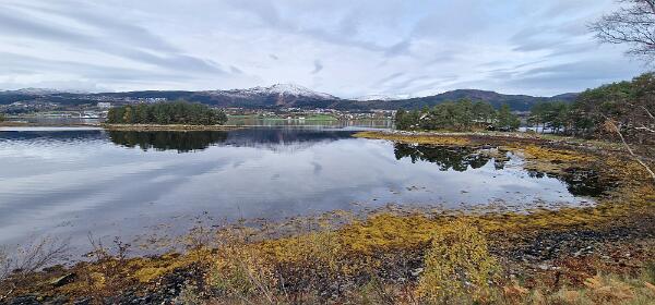 Bolsøya