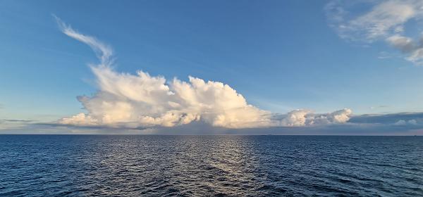 35