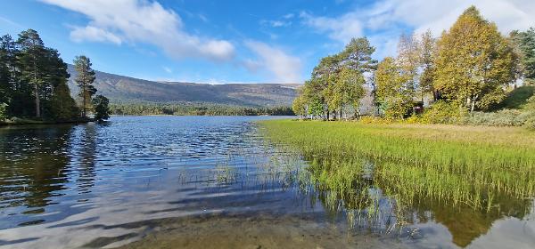 Lesjaskogsvatnet