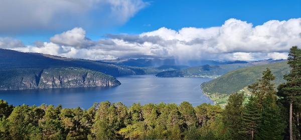 Innvikfjorden
