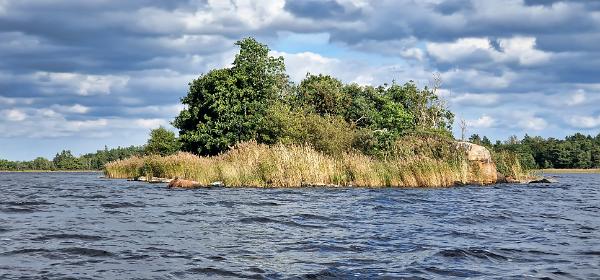 Kallriga Naturreservat