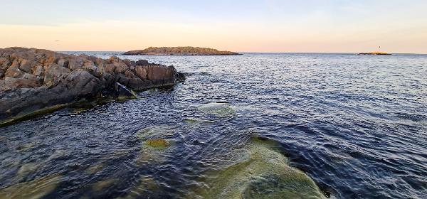 Innerhaken Naturområde