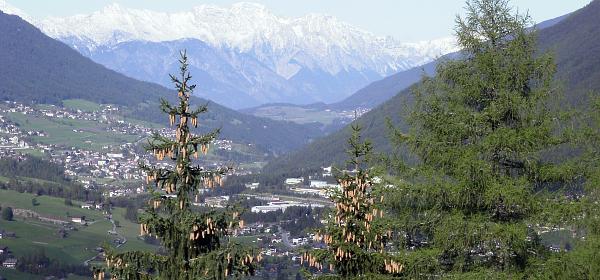 11er Lifte Neustift Stubaital 31