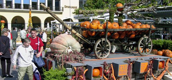 Kuerbisfest Meran 00
