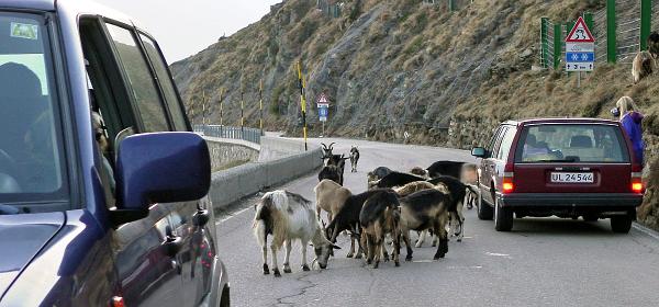 Jaufenpass 03