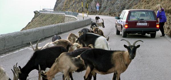 Jaufenpass 05