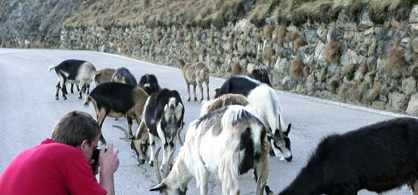 Jaufenpass 08
