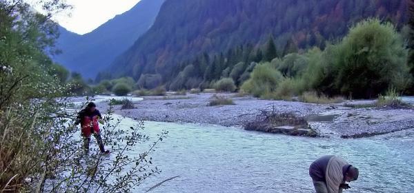 Isar Mittenwald 5