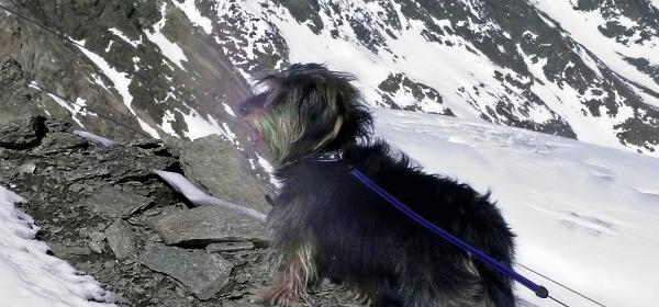 Stubaier Gletscher 24