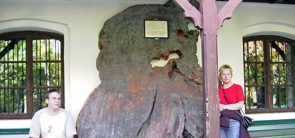 Insbruck Bergisel 09