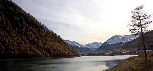 Zollfrei Livigno 10