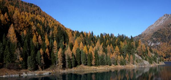 Martelltal 05