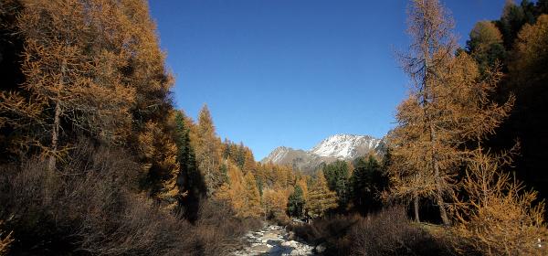 Martelltal 19