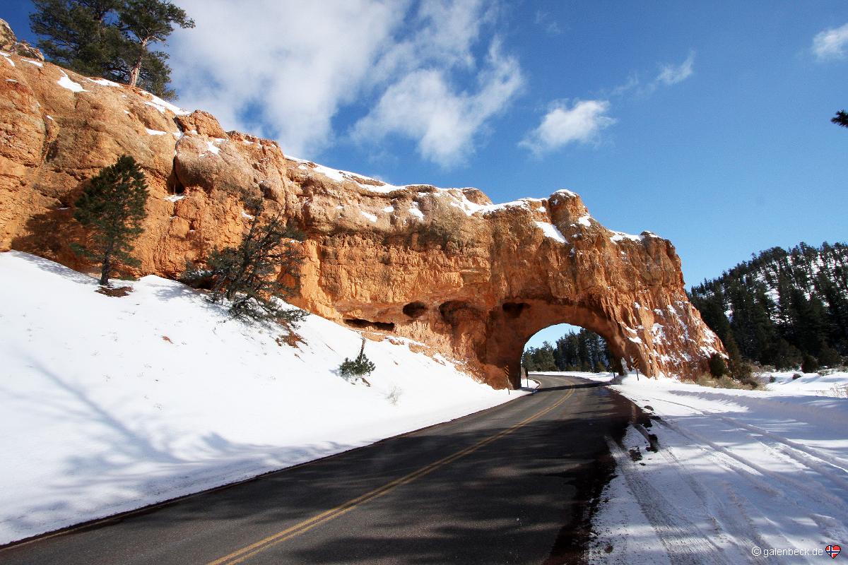 Red Canyon