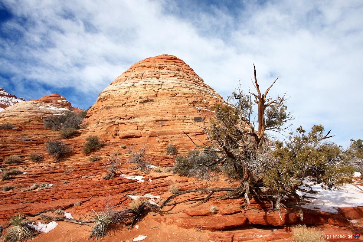 Coyote Buttes North