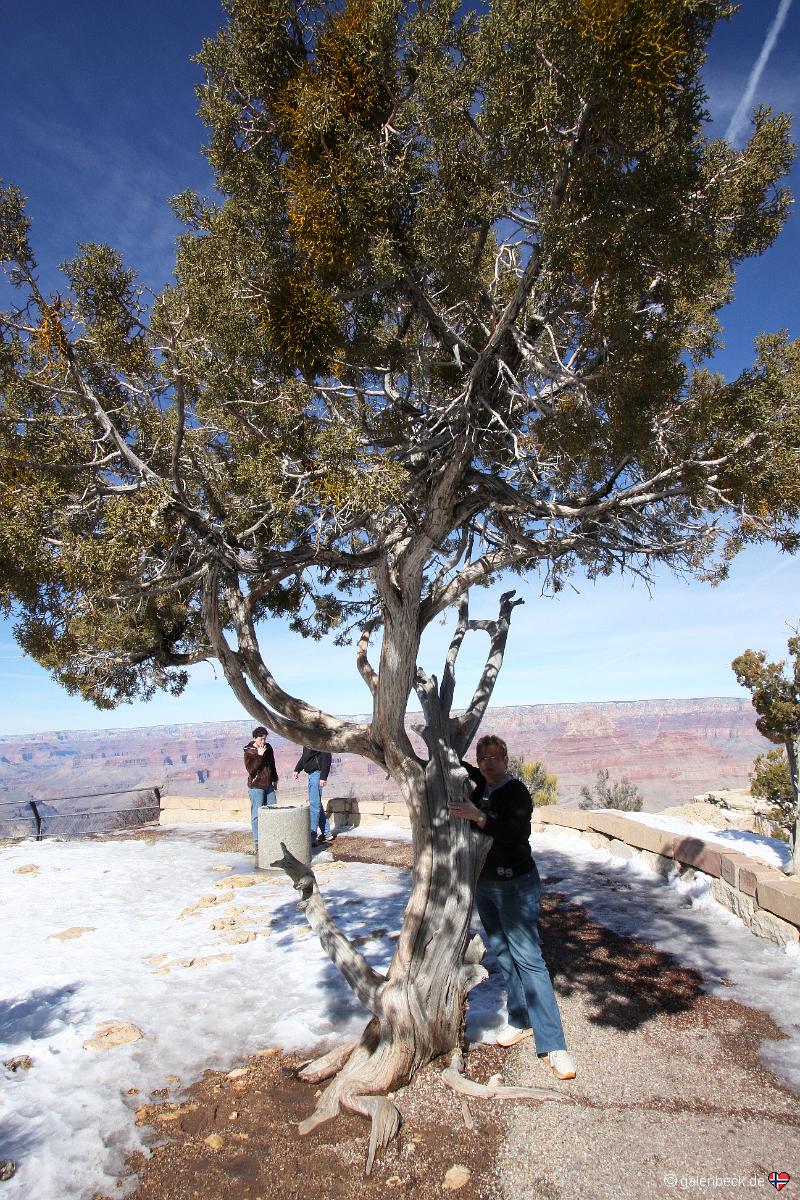 Grand Canyon