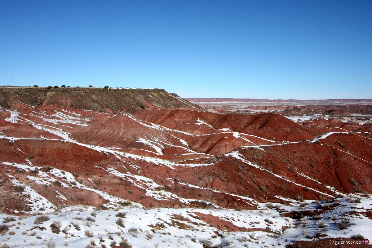 Petrified Forest National Park