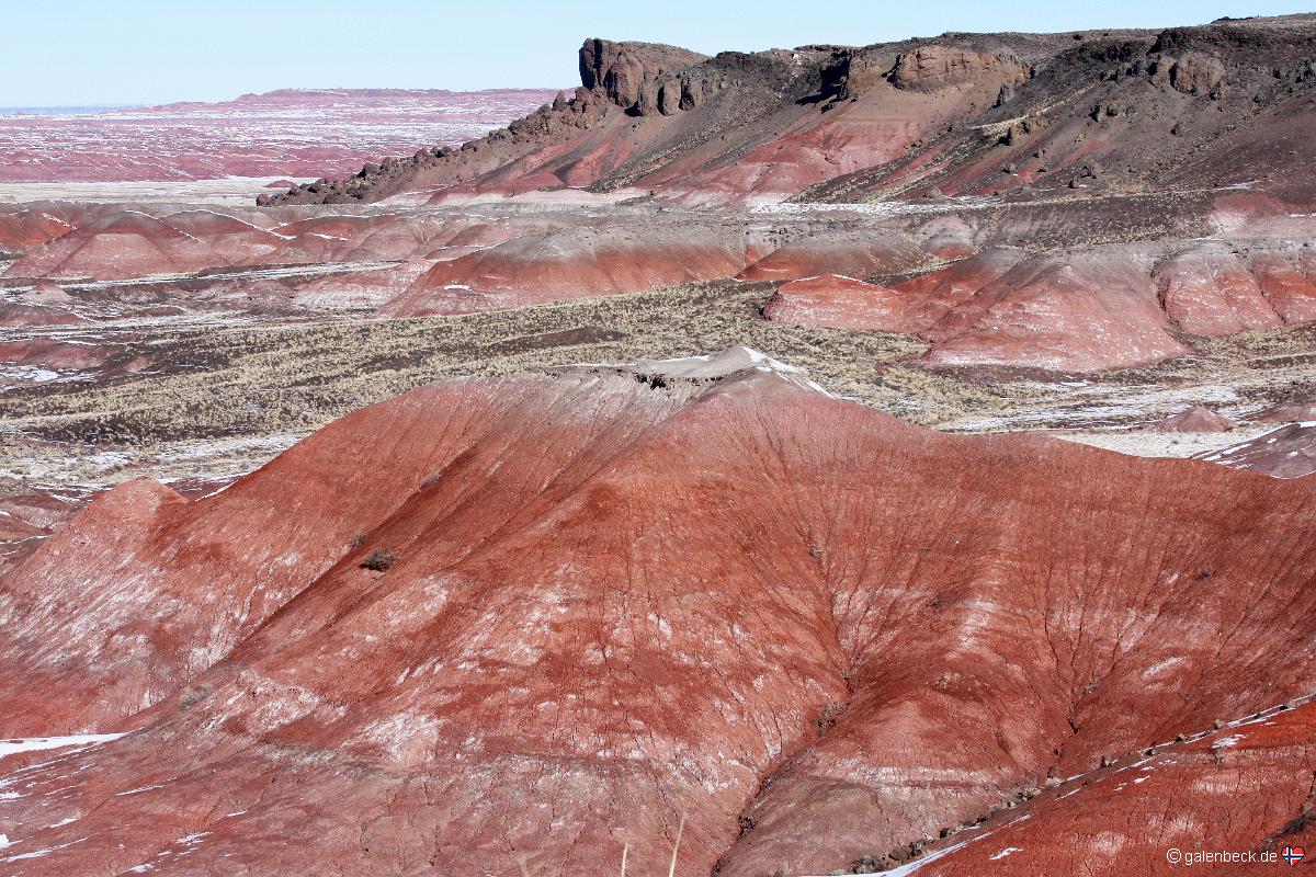 Petrified Forest National Park