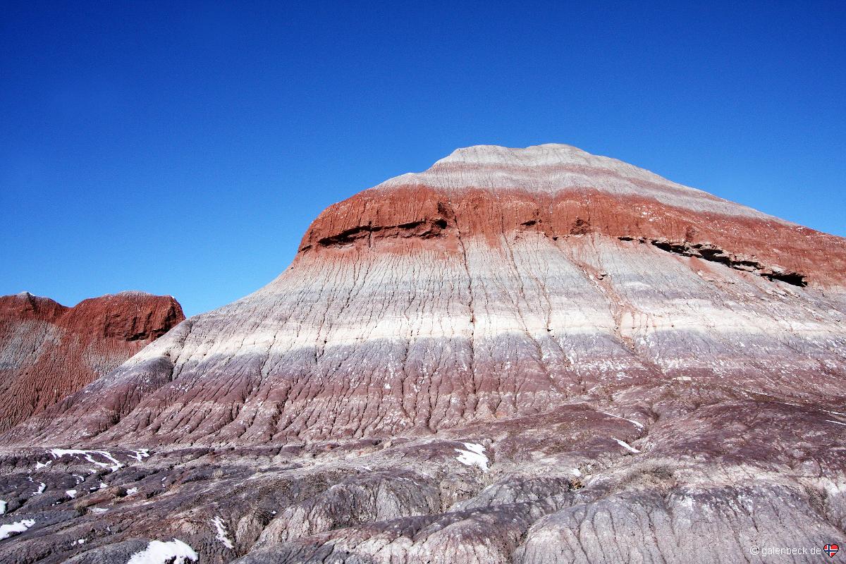 Petrified Forest National Park
