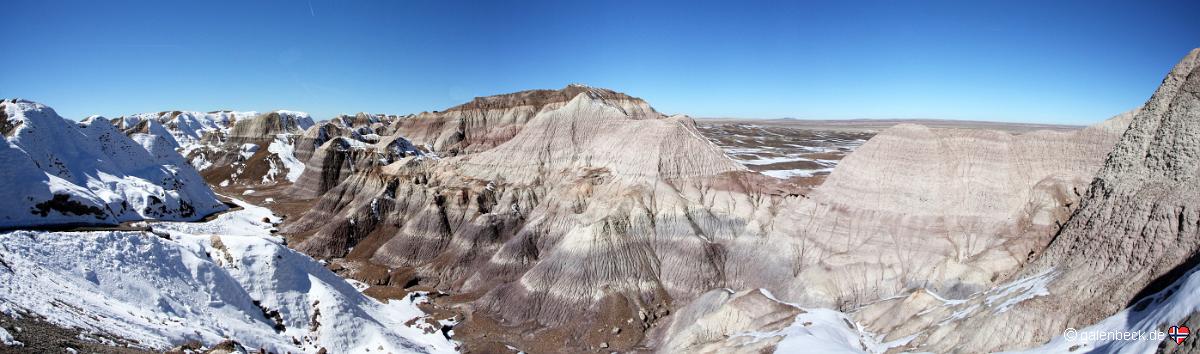 Petrified Forest