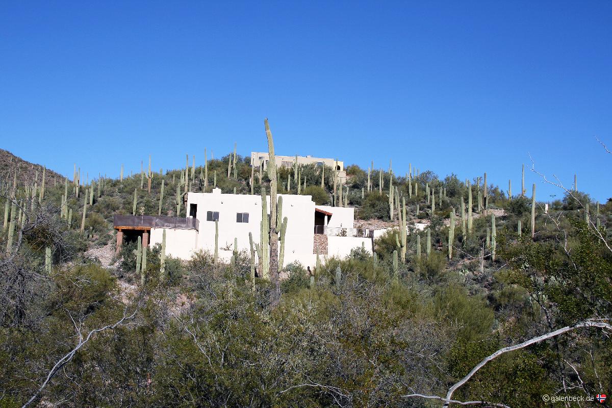 Saguaro National Park