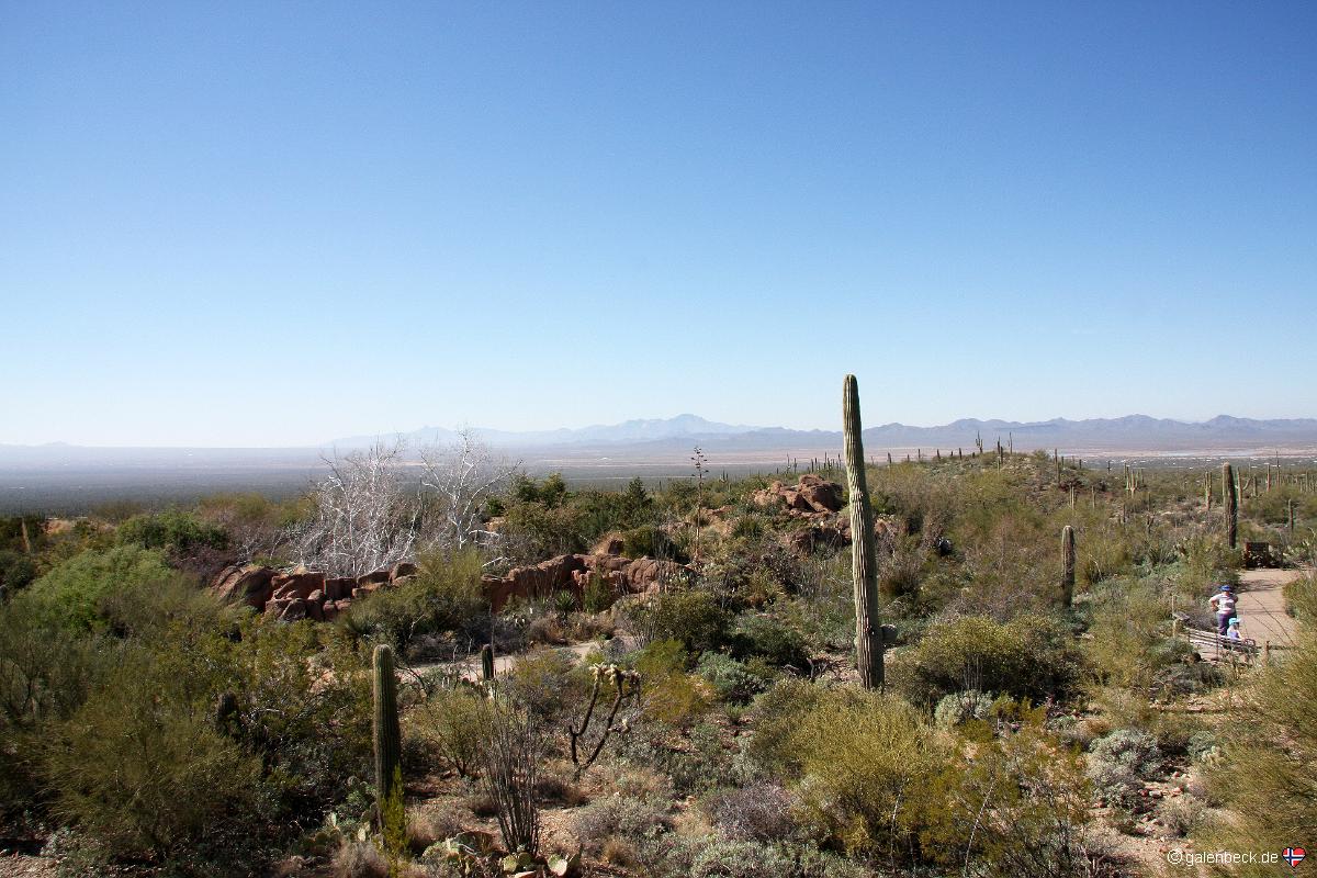 Arizona Sonora Desert Museum