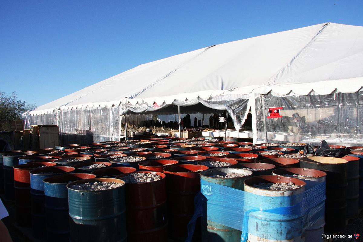 Tucson Mineral Show