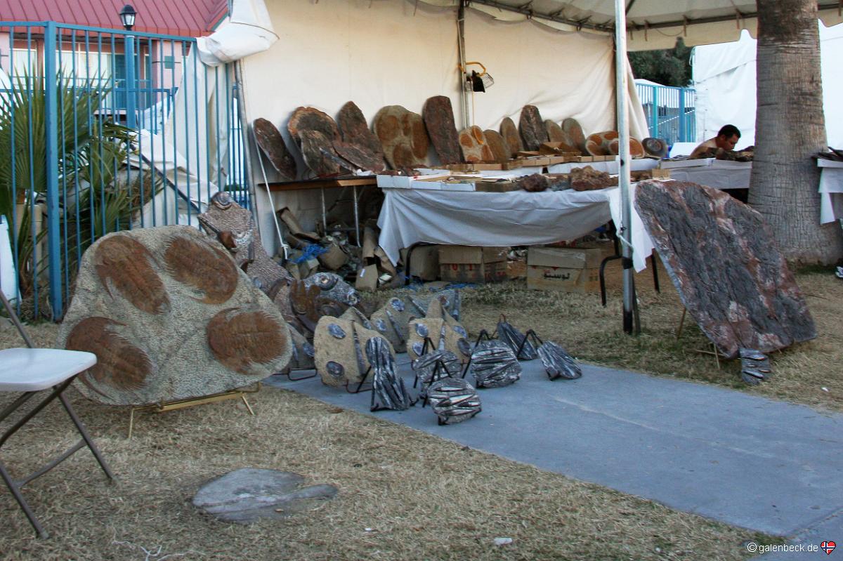 Tucson Mineral Show