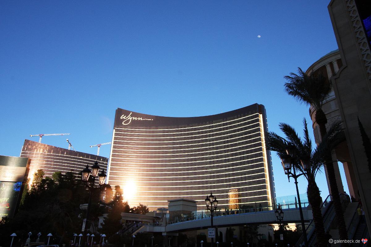 Wynn